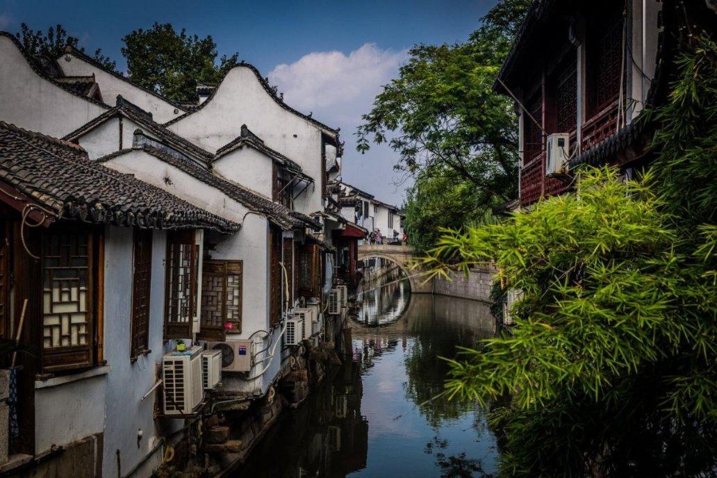 独叶草的濒危原因_江南时报问答频道_中国领先的问答平台